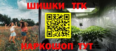 хмурый Бийск